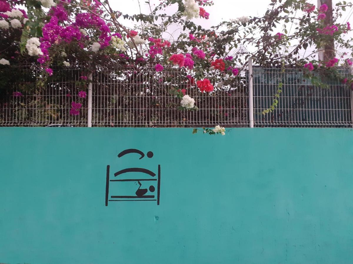 Martinique Hostel サント・リュス エクステリア 写真