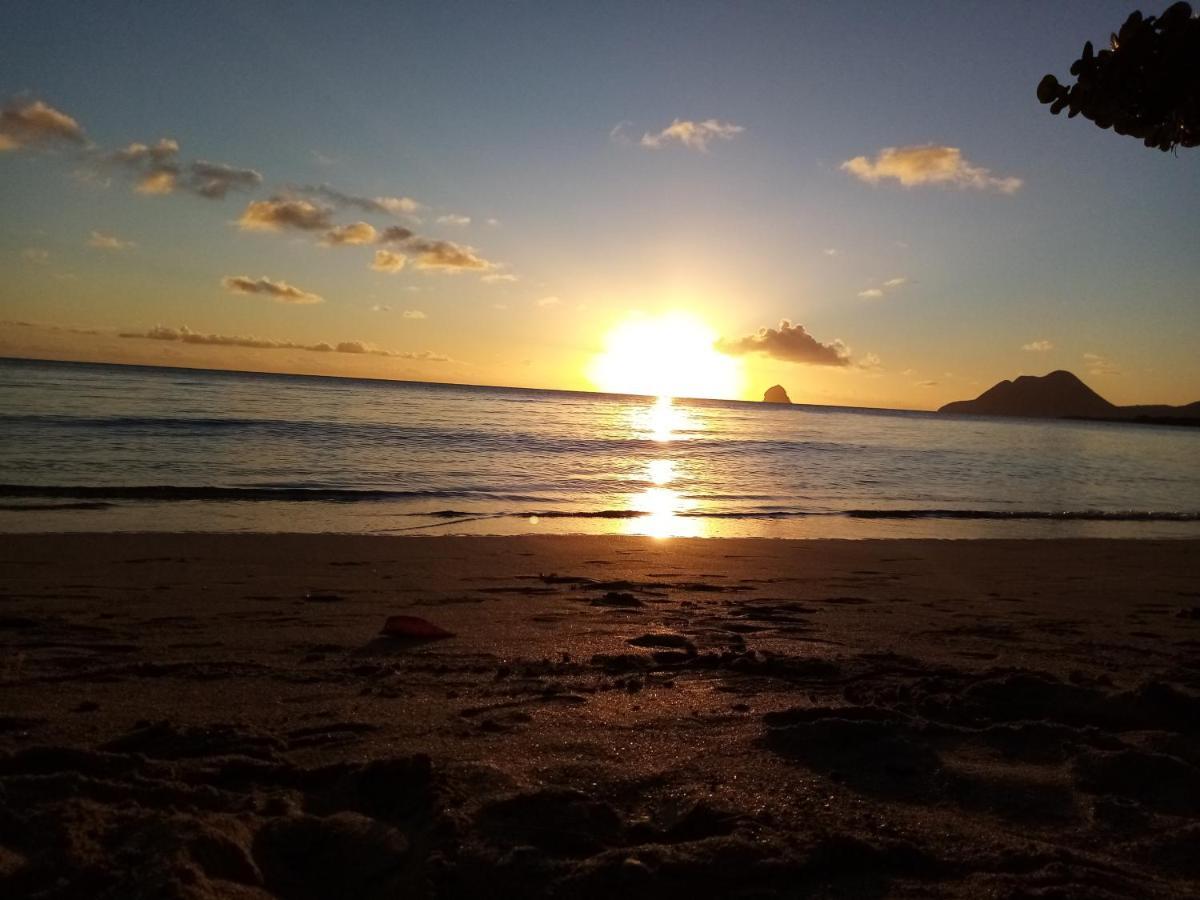 Martinique Hostel サント・リュス エクステリア 写真
