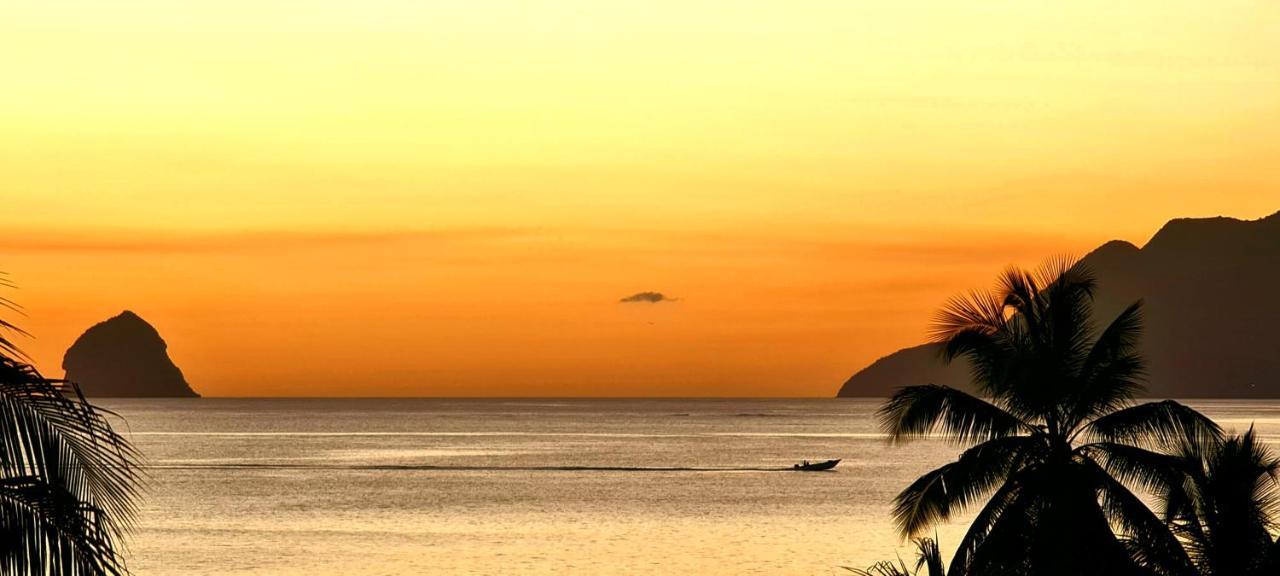 Martinique Hostel サント・リュス エクステリア 写真